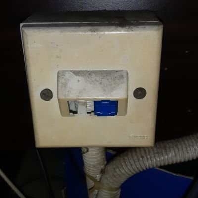 abbizx1's profile picture. 