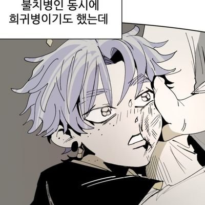 슈거프리라쿤さんのプロフィール画像
