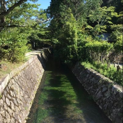 e_h_shimizu's profile picture. They/Them. R&D engineer.