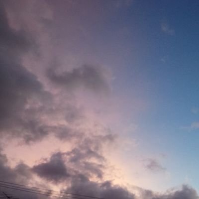 10Saskia02's profile picture. 