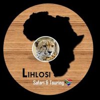 🦓Lihlosi Safari And Touring(@lihlosi) 's Twitter Profile Photo