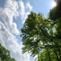 ksk (@ryo97171073) 's Twitter Profile