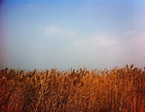 pajamayang's profile picture. 트위터 적응 실패