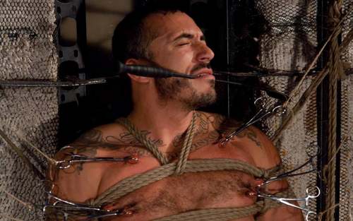 Hunks and studs in gay bondage sex porn.