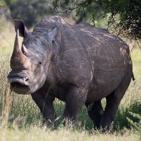 HELICS (@helics_lab) 's Twitter Profile