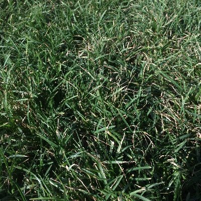 Dan89189733's profile picture. 