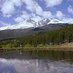 Wind River Prokaryotic Conference (@windriverconf) Twitter profile photo Wind River Prokaryotic Conference (@windriverconf) Twitter profile photo
