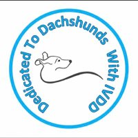 @dedicatedtodachshundswithivdd (@dedicatedtodac1) 's Twitter Profile Photo @dedicatedtodachshundswithivdd (@dedicatedtodac1) 's Twitter Profile Photo