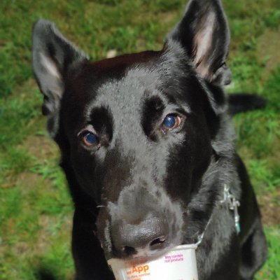 bLurinq's profile picture. 