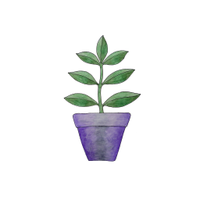 Jemima's Garden - Flower Seeds for Wildlife ๐๐ฆ๐ฑ (@jemimasgarden) 's Twitter Profile Photo Jemima's Garden - Flower Seeds for Wildlife ๐๐ฆ๐ฑ (@jemimasgarden) 's Twitter Profile Photo