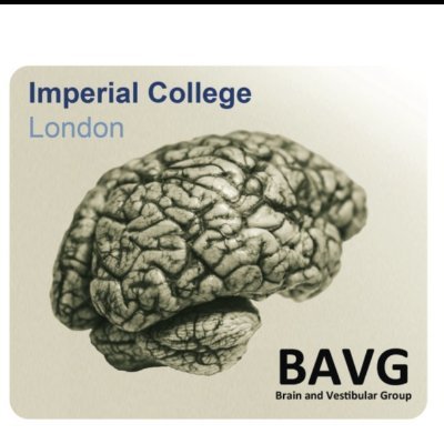 Brain and Vestibular Group at Imperial College London
https://t.co/7EMp3PG9bR
