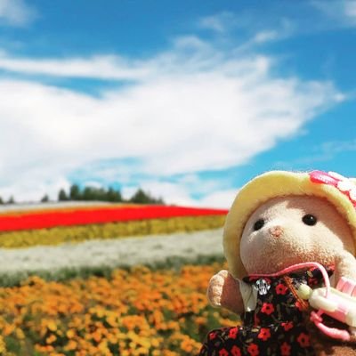 シルバニアと旅に出る人。建築業界設計女✊
マイキャラは🐻くまちゃん！
その他→日常写真、模型ミニチュア作品、ハンドメイド、景色写真
私の日記的な所もあるので悪しからず😅