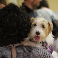Fundación CANEM (@fundacioncanem) 's Twitter Profile