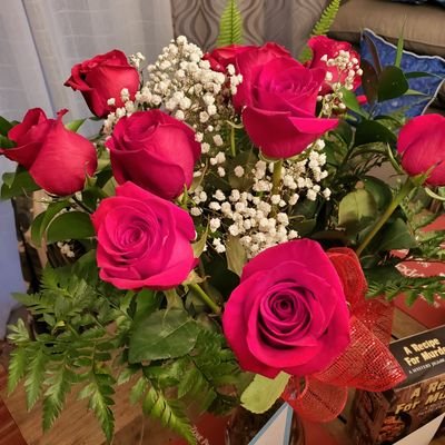 catsimonsays's profile picture. 