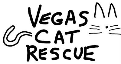 VegasCatRescue's profile picture. Welcome to Vegas Cat Rescue.

We are a cat and kitten rescue group in Las Vegas NV. stay tuned for lots of kitten rescue stories, pictures and videos...❤️😺