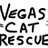 VegasCatRescue