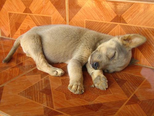 chandaner's profile picture. スキューバ、旅行、写真、街散策、料理、食べること、読書、お笑い、映画鑑賞、花、ジェンガ、登山、音楽など興味ありです。たまに毒を吐きますがご容赦下さい。