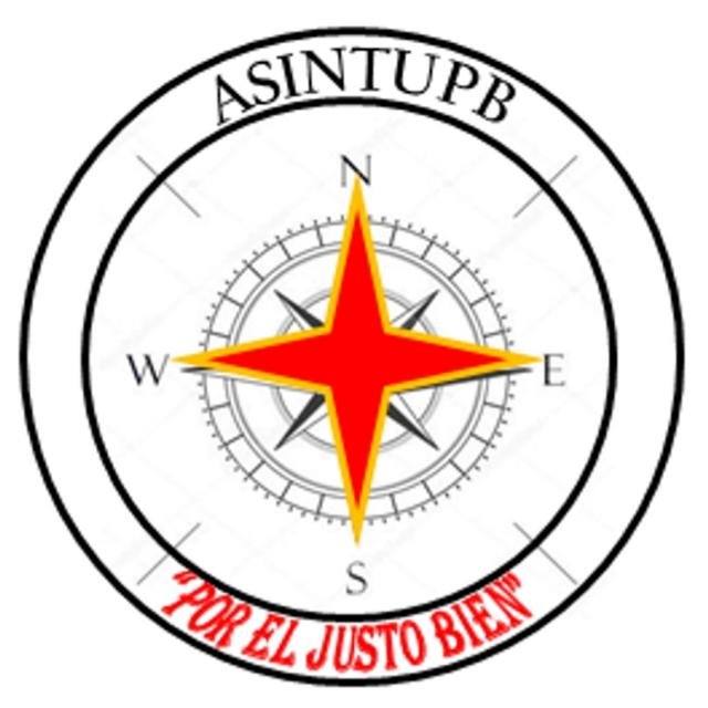 Organización sindical