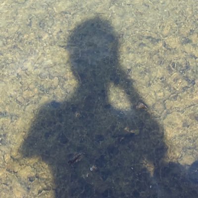 2ttwezWyfuY1D4U's profile picture. 