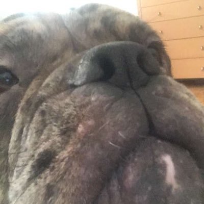 SebastianLundg5's profile picture. Trying to find the way