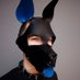 Pup Skyโ๏ธ ๐ โฆ (@pupsky95) Twitter profile photo Pup Skyโ๏ธ ๐ โฆ (@pupsky95) Twitter profile photo