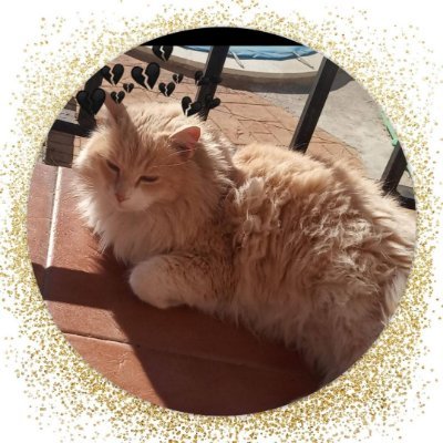 Janies1976's profile picture. 
