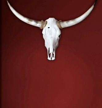 Wir sinds, die Texaner, wir gestalten Kommunikation. Und Prozesse.