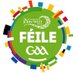 GAA Féile na nGael 2021 (Hurling) (@FeileHurling) Twitter profile photo