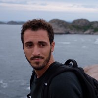 Gioele Fabbri (@gioele_fabbri) 's Twitter Profile