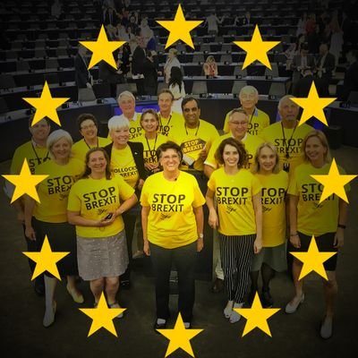 Lib Dems for Europe 🇬🇧🔶️🇪🇺 Profile