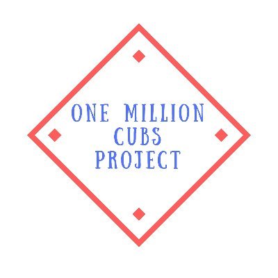 A baseball nerd's quest to collect one MILLION Chicago Cubs baseball cards. Current Cubs baseball card count: ONE MILLION.