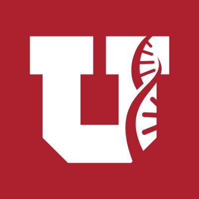 uudbmi Profile Picture