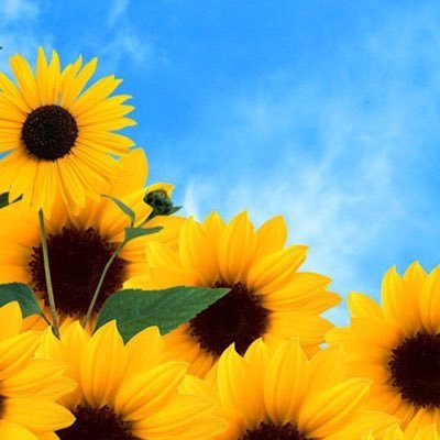 Alexand30475921's profile picture. 