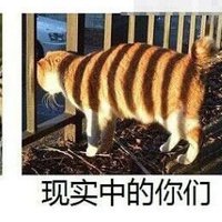 wei (@tp7b69jfb8uvj6v) 's Twitter Profile