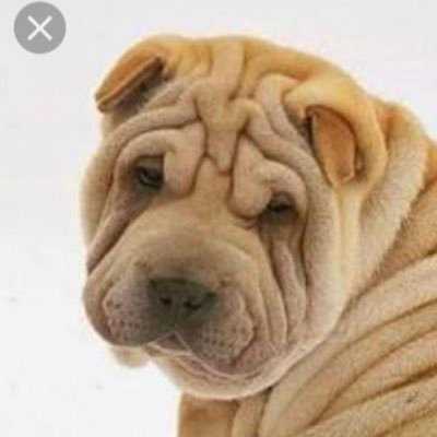 J_Delnions's profile picture. Escanção das diversas modalidades da vida