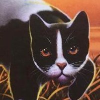 TallstarsGay's profile picture. || That one gay WindClan leader. || Gay || Run by @Blizzard_319 ||