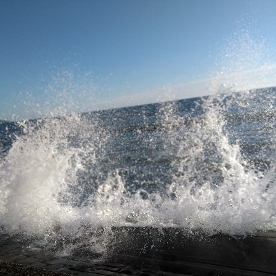 RehBln50's profile picture. Definitiv wbl., gegen Vieles, z. B. Political Correctness, Betreutes Denken. Für Meinungsfreiheit, allerdings auch mit Manieren ! ;-)
#genugistgenug