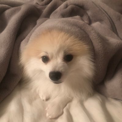 FadiOtell's profile picture. 