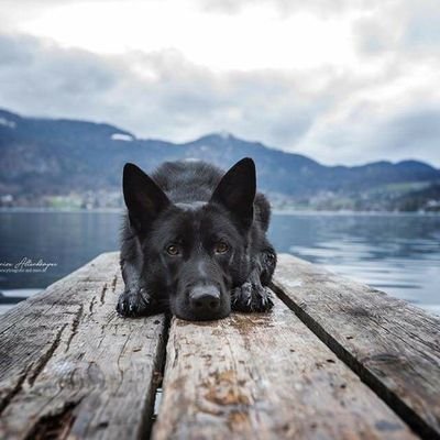 IronicusMan's profile picture. 