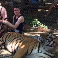 Billy Nolan (@billynolan747) 's Twitter Profile