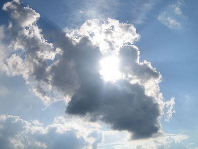 wtccweather's profile picture. 