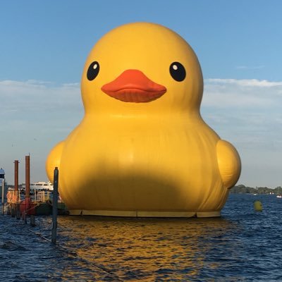 stantsy's profile picture. 