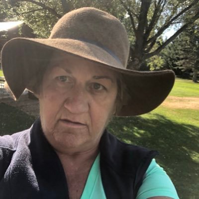 HauganKate's profile picture. life love ❤️ learn all the time!