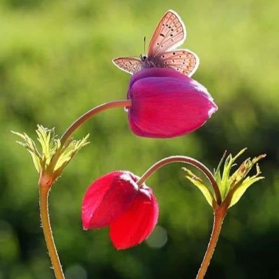 ygdessouky's profile picture. 