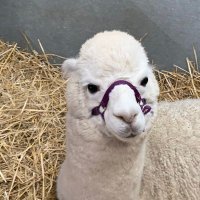 Informed (@int2view) 's Twitter Profile