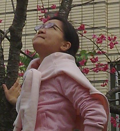 play__book's profile picture. Play Book