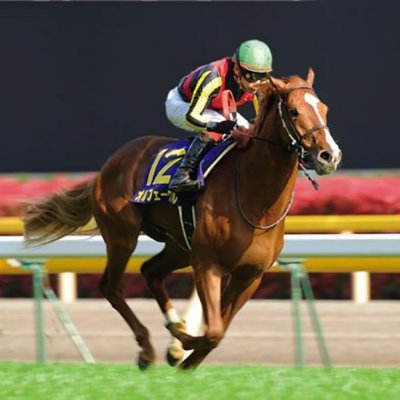 AtarukeibaMail's profile picture. 毎週無料で当たる競馬予想をお届けしています！ 
競馬好きな方フォローお願いします！ 

LINEで予想配信中！
↓
https://t.co/044jMjSjz4
(完全無料)

#JRA 
#競馬
#競馬予想
#競馬情報
#馬券
#的中
#払戻金
#馬女