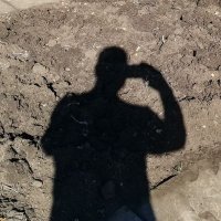 Pull this hard (@alanlee38) 's Twitter Profile Photo