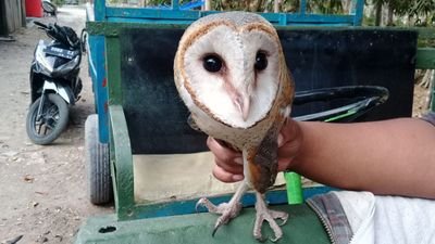 popt_sudiro's profile picture. suka makan tapi gak mau gendud