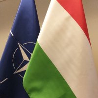 Hungarian Delegation to NATO(@NATOHungary) 's Twitter Profileg